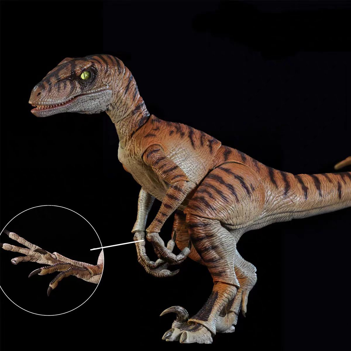 ฟิกเกอร์ไดโนเสาร์จูราสสิคจาก N - Model Kit Dinosaur Bandai บทวิจารณ์และราคา
