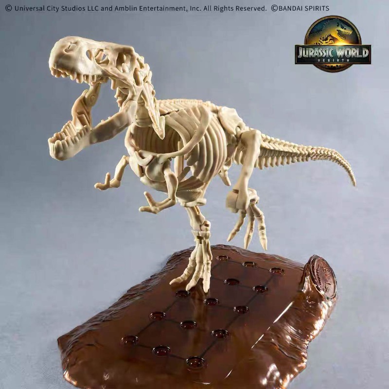 ชุดโมเดลโครงกระดูกไดโนเสาร์จาก - Model Kit Dinosaur Bandai บทวิจารณ์และราคา